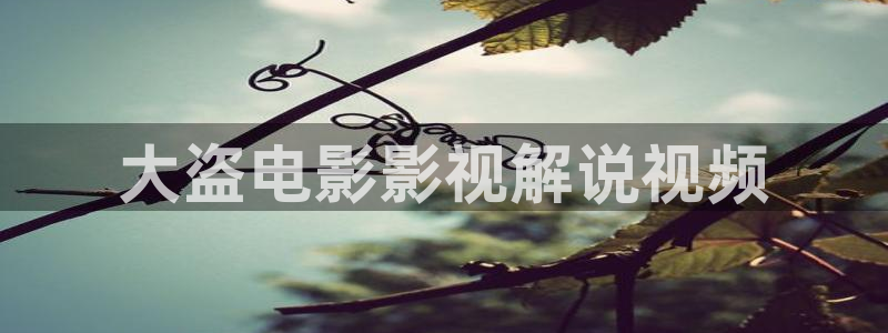 免费在线观看午夜影院：大盗电影影视解说视频