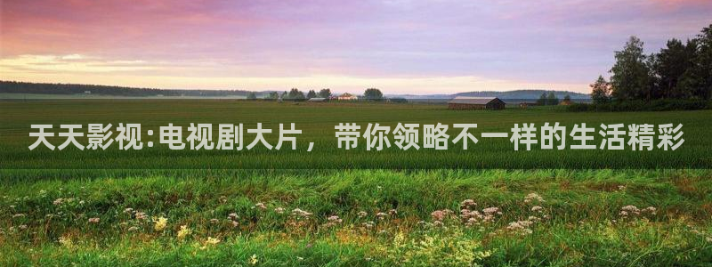 日本午夜爱情片：天天影视:电视剧大片，带你领略不一样的生活精彩