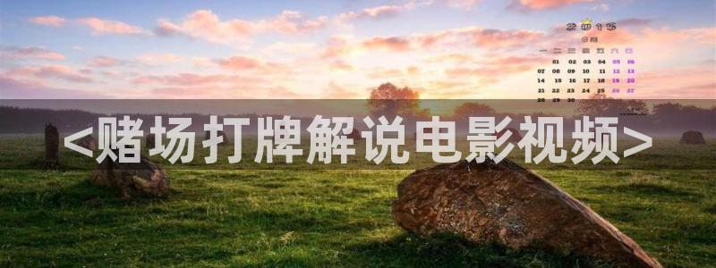 日本午夜免费电影：<赌场打牌解说电影视频>