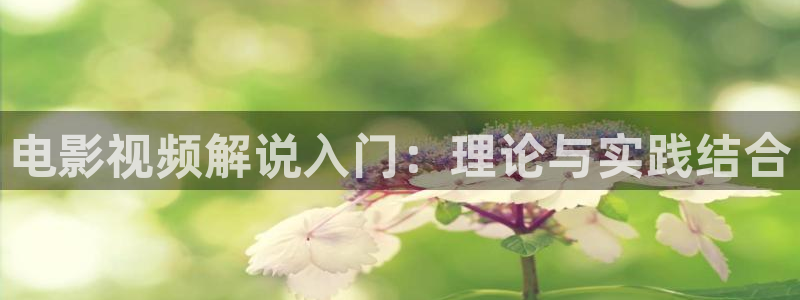 午夜看爽爽爽片：电影视频解说入门：理论与实践结合