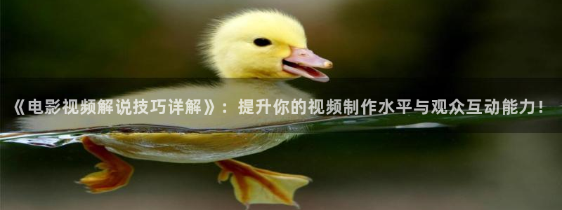 电影午夜惊心：《电影视频解说技巧详解》：提升你的视频制作水平与观众互动能力！
