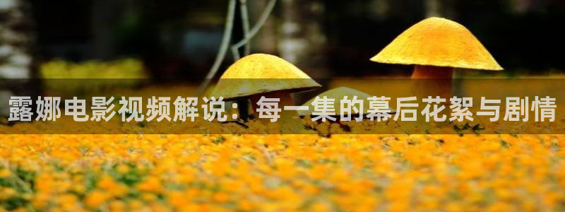 午夜理伦片在线观看：露娜电影视频解说：每一集的幕后花絮与剧情
