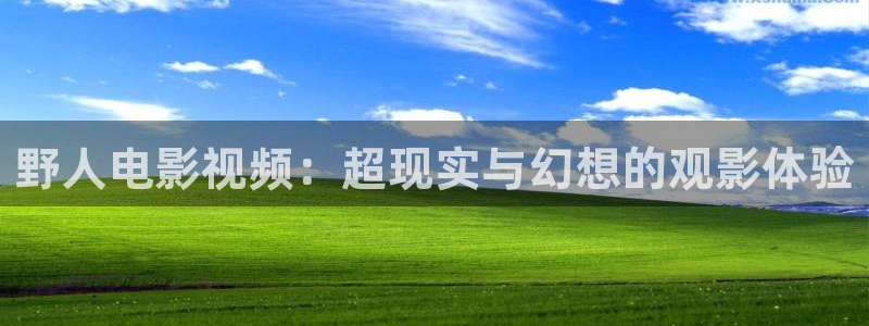 欧美欧美午夜aⅴ在线观看：野人电影视频：超现实与幻想的观影体验