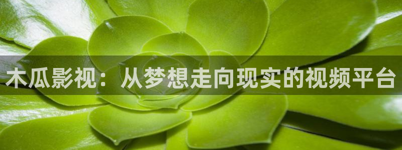 午夜久久电影福利院