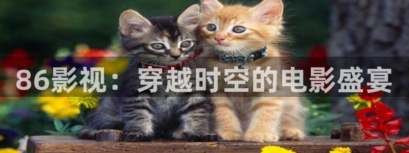 神马午夜小视频：86影视：穿越时空的电影盛宴