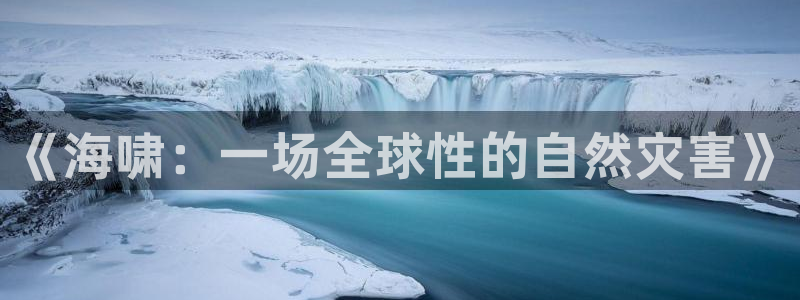 秋霞午夜手机影院：《海啸：一场全球性的自然灾害》