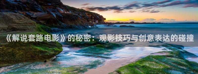 免费午夜在线电影网：《解说套路电影》的秘密：观影技巧与创意表达的碰撞