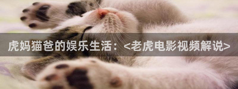神马手机影院午夜伦理