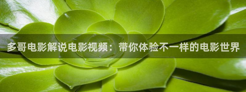 第七影视花花16影视午夜
