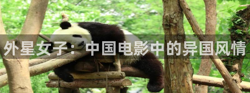 午夜性电影在线