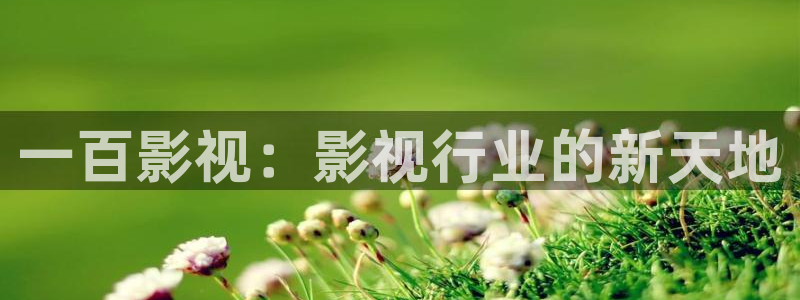 新视觉影院午夜