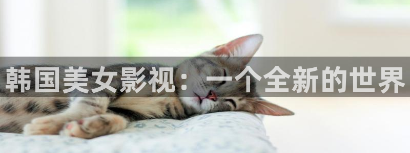 神马影院午夜.