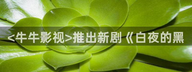 午夜毛片午夜毛片