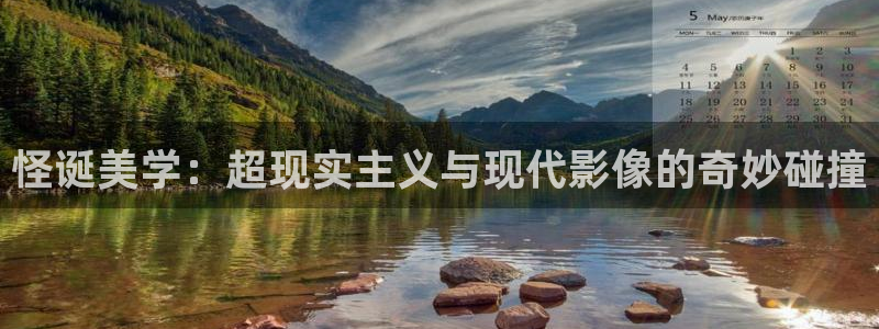 秋霞网 午夜